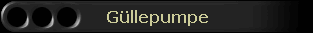 Gllepumpe