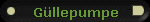 Gllepumpe