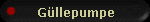 Gllepumpe